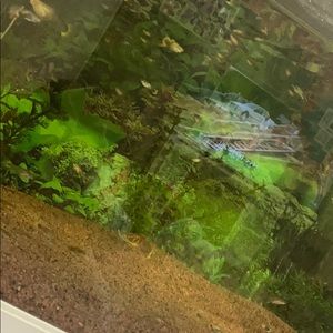 Meet your Posher, Jihane